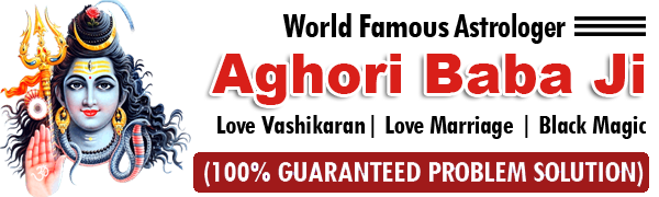  Astrologer Aghori BaBa +91-8769781100